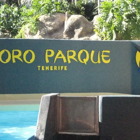 Paula Pool Adeje Apartment