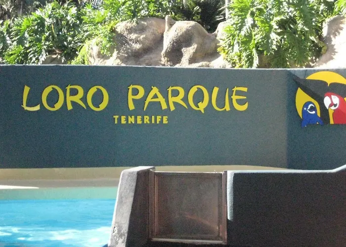 Paula Pool Adeje 아파트